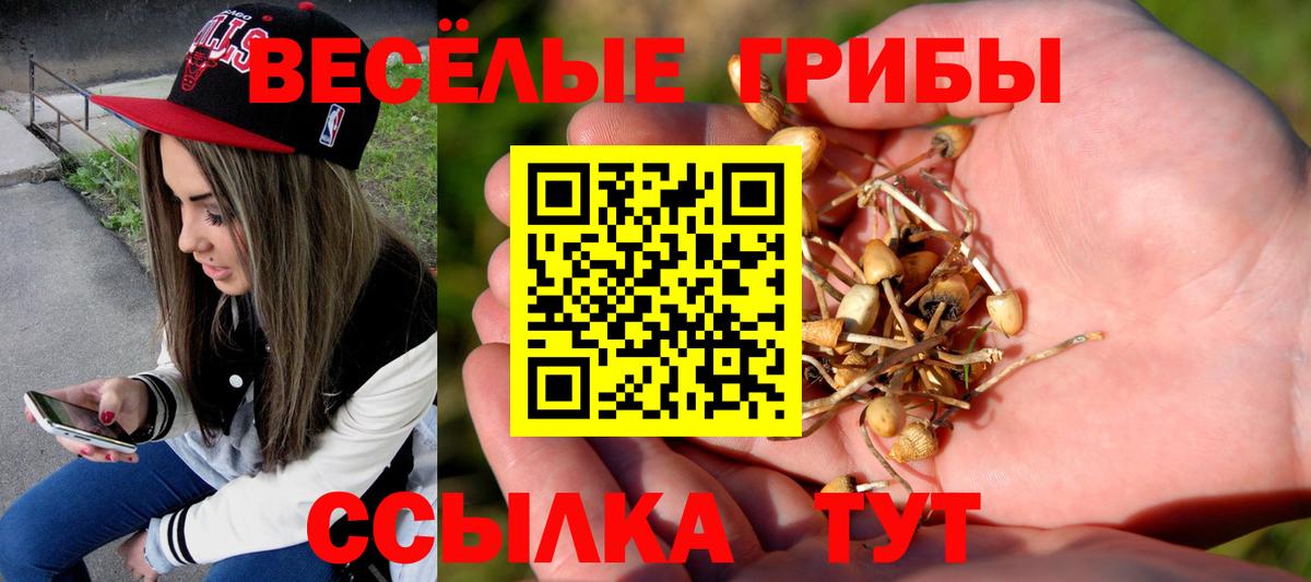 Псилоцибиновые грибы Magic Shrooms Рыбинск